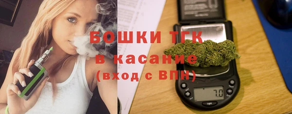тгк Дмитровск