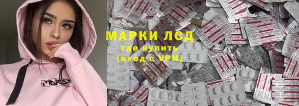 тгк Дмитровск