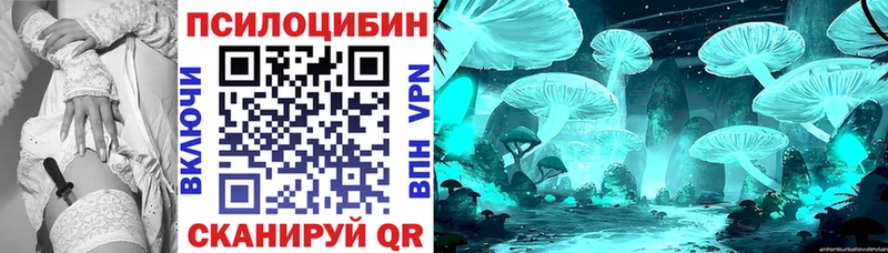 Галлюциногенные грибы мицелий  Орехово-Зуево 